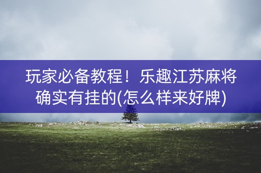 玩家必备教程！乐趣江苏麻将确实有挂的(怎么样来好牌)