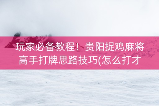 玩家必备教程！贵阳捉鸡麻将高手打牌思路技巧(怎么打才能赢)