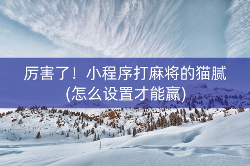 厉害了！小程序打麻将的猫腻(怎么设置才能赢)