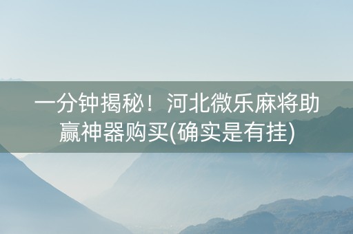 一分钟揭秘！河北微乐麻将助赢神器购买(确实是有挂)