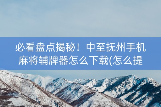 必看盘点揭秘！中至抚州手机麻将辅牌器怎么下载(怎么提高好牌率)