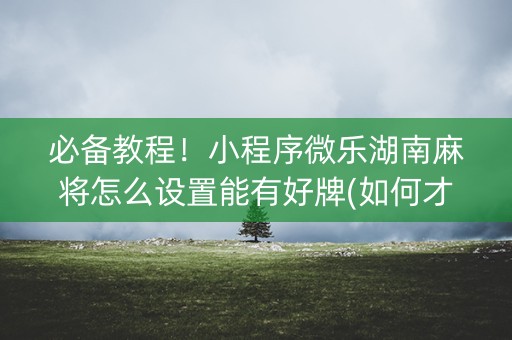 必备教程！小程序微乐湖南麻将怎么设置能有好牌(如何才能打赢)