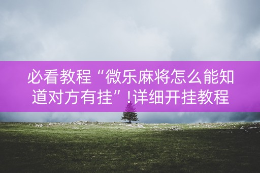 必看教程“微乐麻将怎么能知道对方有挂”!详细开挂教程-知乎