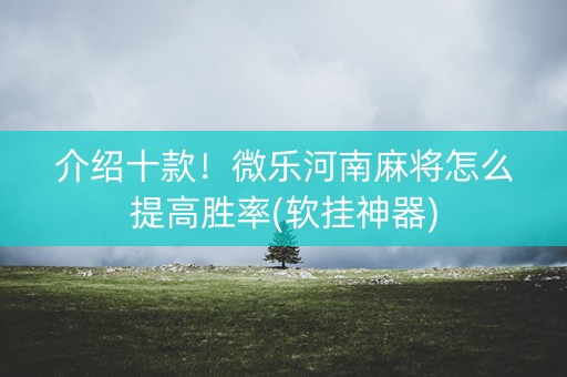 介绍十款！微乐河南麻将怎么提高胜率(软挂神器)