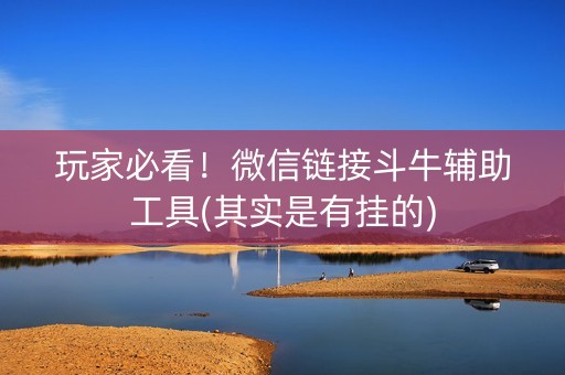 玩家必看！微信链接斗牛辅助工具(其实是有挂的)