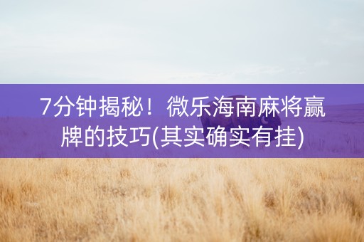 7分钟揭秘！微乐海南麻将赢牌的技巧(其实确实有挂)