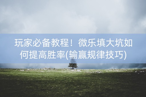 玩家必备教程！微乐填大坑如何提高胜率(输赢规律技巧)