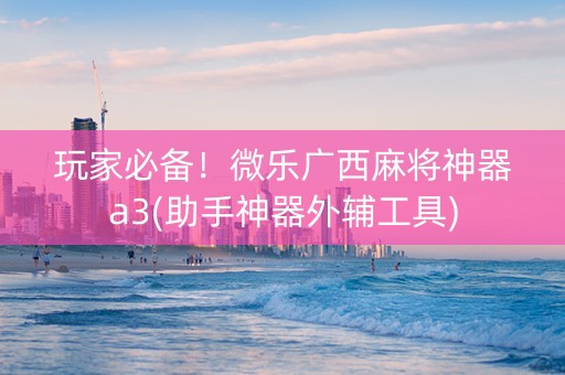 玩家必备！微乐广西麻将神器a3(助手神器外辅工具)