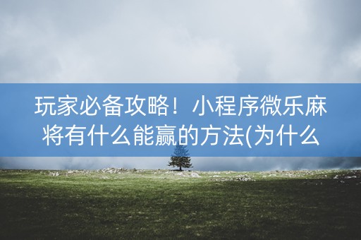 玩家必备攻略！小程序微乐麻将有什么能赢的方法(为什么总是输)