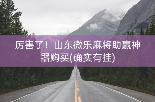 厉害了！山东微乐麻将助赢神器购买(确实有挂)