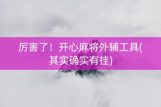 厉害了！开心麻将外辅工具(其实确实有挂)