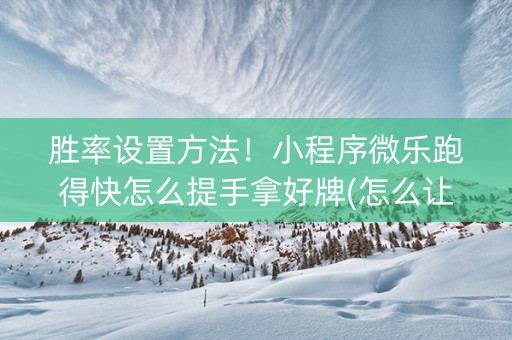 胜率设置方法！小程序微乐跑得快怎么提手拿好牌(怎么让系统给好牌)