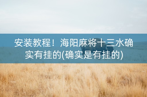 安装教程！海阳麻将十三水确实有挂的(确实是有挂的)
