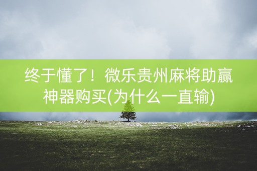 终于懂了！微乐贵州麻将助赢神器购买(为什么一直输)
