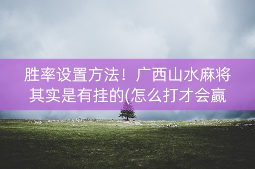 胜率设置方法！广西山水麻将其实是有挂的(怎么打才会赢)