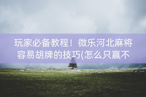 玩家必备教程！微乐河北麻将容易胡牌的技巧(怎么只赢不输)
