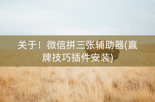 关于！微信拼三张辅助器(赢牌技巧插件安装)