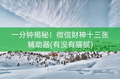 一分钟揭秘！微信财神十三张辅助器(有没有猫腻)