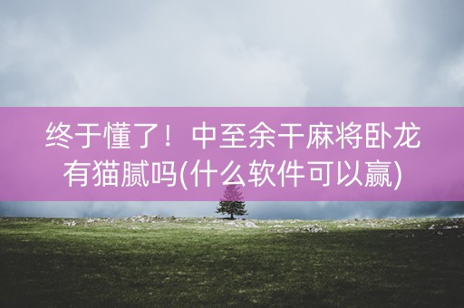 终于懂了！中至余干麻将卧龙有猫腻吗(什么软件可以赢)