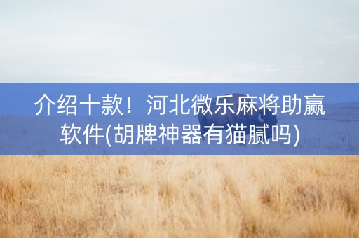 介绍十款！河北微乐麻将助赢软件(胡牌神器有猫腻吗)
