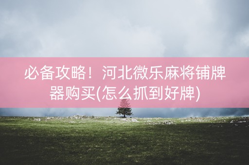 必备攻略！河北微乐麻将铺牌器购买(怎么抓到好牌)