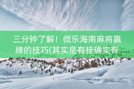 三分钟了解！微乐海南麻将赢牌的技巧(其实是有挂确实有挂)