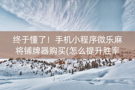 终于懂了！手机小程序微乐麻将铺牌器购买(怎么提升胜率)