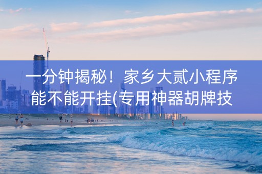 一分钟揭秘！家乡大贰小程序能不能开挂(专用神器胡牌技巧)