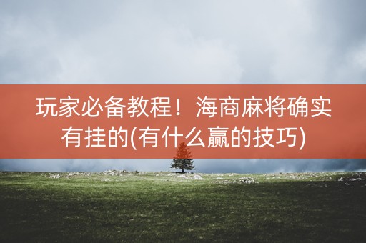 玩家必备教程！海商麻将确实有挂的(有什么赢的技巧)