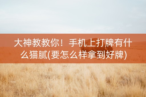 大神教教你！手机上打牌有什么猫腻(要怎么样拿到好牌)