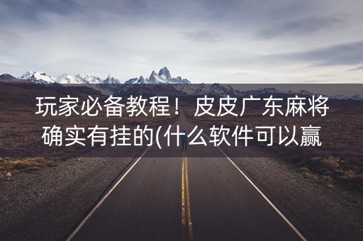 玩家必备教程！皮皮广东麻将确实有挂的(什么软件可以赢)