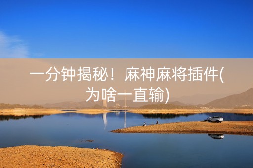 一分钟揭秘！麻神麻将插件(为啥一直输)