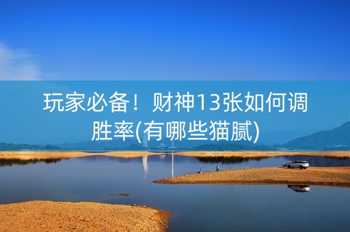 玩家必备！财神13张如何调胜率(有哪些猫腻)