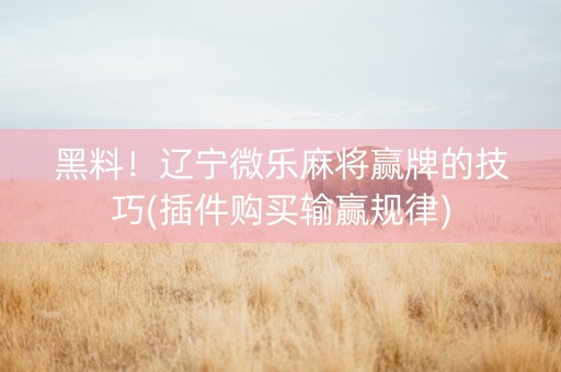 黑料！辽宁微乐麻将赢牌的技巧(插件购买输赢规律)