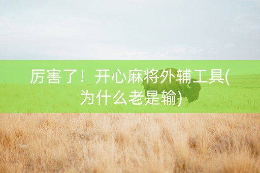 厉害了！开心麻将外辅工具(为什么老是输)