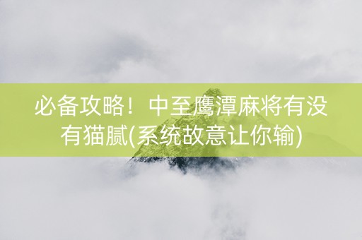 必备攻略！中至鹰潭麻将有没有猫腻(系统故意让你输)