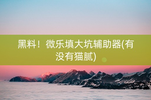 黑料！微乐填大坑辅助器(有没有猫腻)