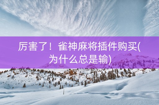 厉害了！雀神麻将插件购买(为什么总是输)