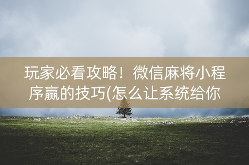 玩家必看攻略！微信麻将小程序赢的技巧(怎么让系统给你发好牌)