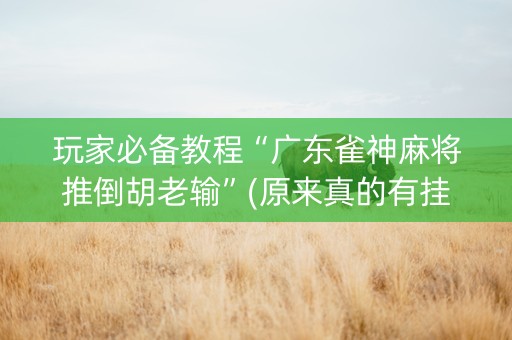 玩家必备教程“广东雀神麻将推倒胡老输”(原来真的有挂)-知乎