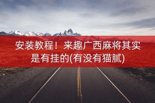 安装教程！来趣广西麻将其实是有挂的(有没有猫腻)