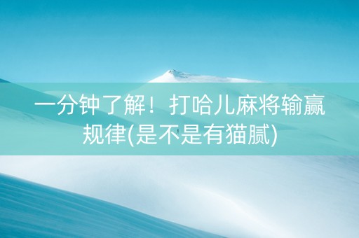 一分钟了解！打哈儿麻将输赢规律(是不是有猫腻)