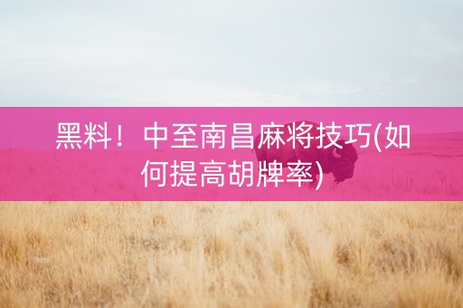 黑料！中至南昌麻将技巧(如何提高胡牌率)