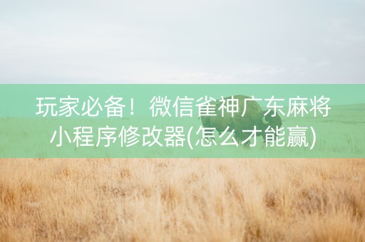 玩家必备！微信雀神广东麻将小程序修改器(怎么才能赢)