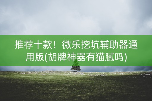 推荐十款！微乐挖坑辅助器通用版(胡牌神器有猫腻吗)