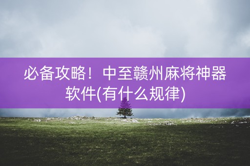必备攻略！中至赣州麻将神器软件(有什么规律)