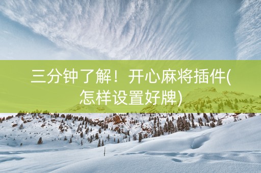 三分钟了解！开心麻将插件(怎样设置好牌)