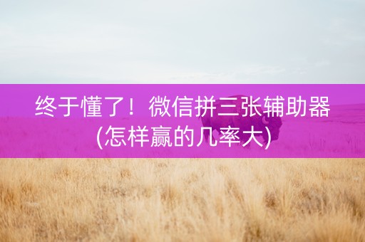 终于懂了！微信拼三张辅助器(怎样赢的几率大)