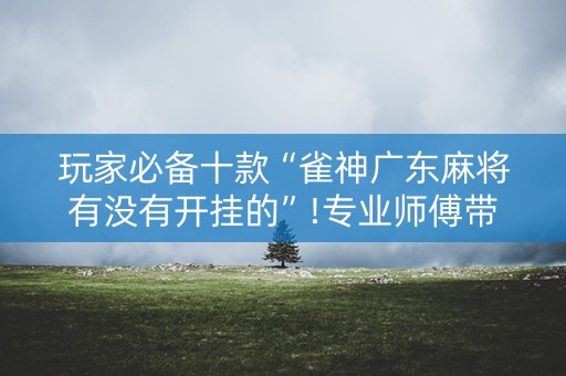 玩家必备十款“雀神广东麻将有没有开挂的”!专业师傅带你一起了解（详细教程）-知乎