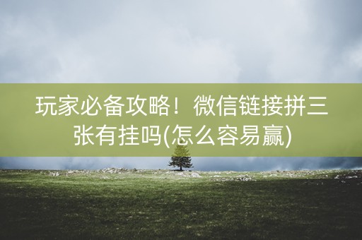 玩家必备攻略！微信链接拼三张有挂吗(怎么容易赢)